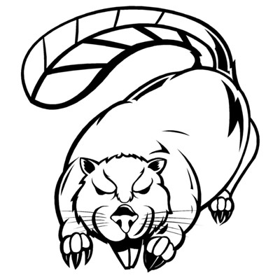 Beaver